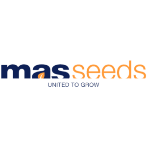 Mas Seeds