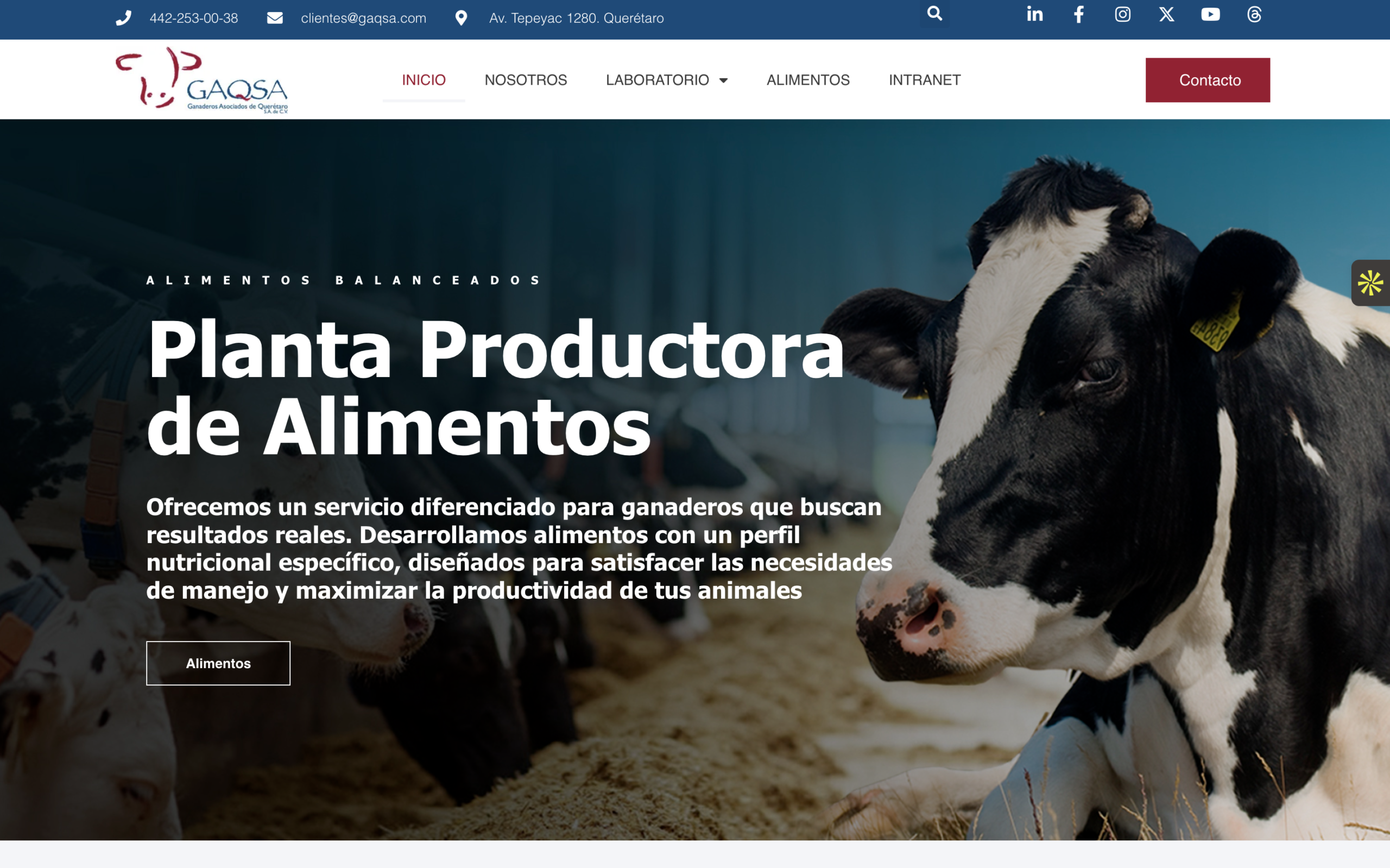 Sitio web de GAQSA
